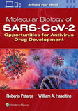 Molecular Biology of SARS-CoV-2: Opportunities for Antivirus Drug Development
