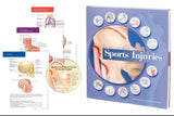 Anatomical Visual Guide to Sports Injuries