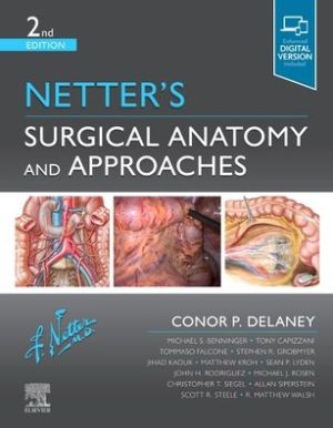 Netter's Surgical Anatomy and Approaches, 2e