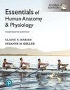 Essentials of Human Anatomy & Physiology, Global Edition, 13e