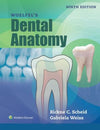 Woelfels Dental Anatomy, 9e