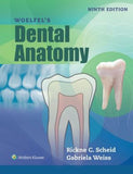 Woelfels Dental Anatomy, 9e