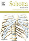 Sobotta Flashcards Bones, Ligaments and Joints