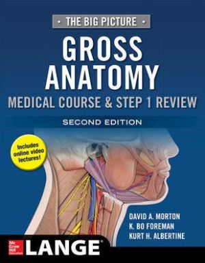 The Big Picture: Gross Anatomy, Medical Course & Step 1 Review, 2e