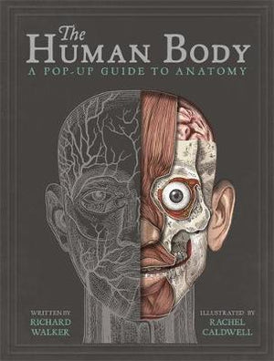 The Human Body: A Pop-Up Guide to Anatomy | Book Bay KSA