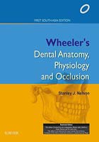 Nelson - Wheeler's Dental Anatomy, Physiology and Occlusion: First South Asia Edition, 1/e