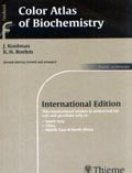 Color Atlas of Biochemistry (IE), 2e